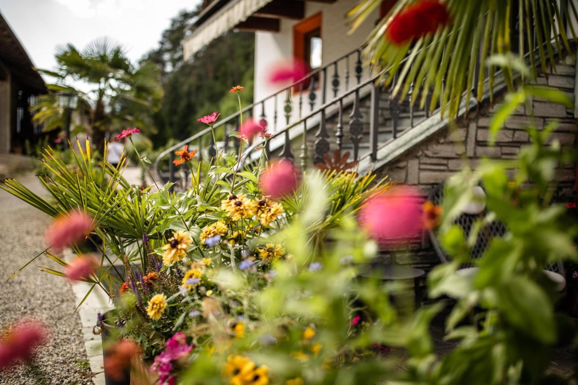 Residence Obermoarhof - Family Apartments With Pool & Playground Вандойес Экстерьер фото